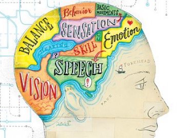 كيف نساهم في تحسين القدرات الإدراكية؟ 