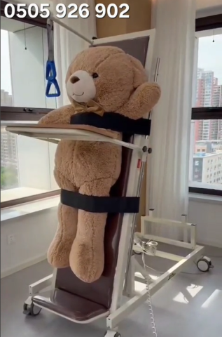 صورة الطاولة