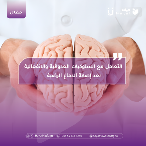 صورة دماغ